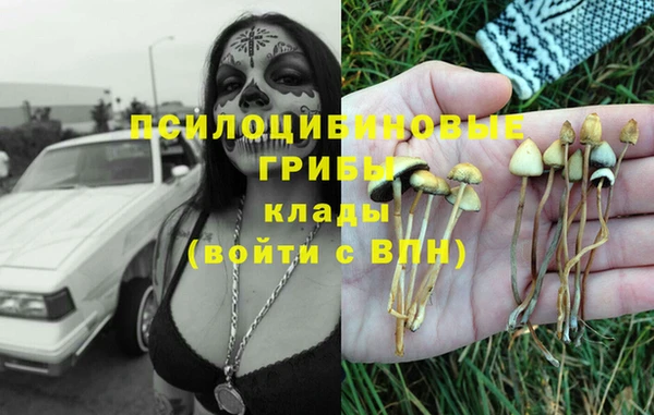 дживик Алексин