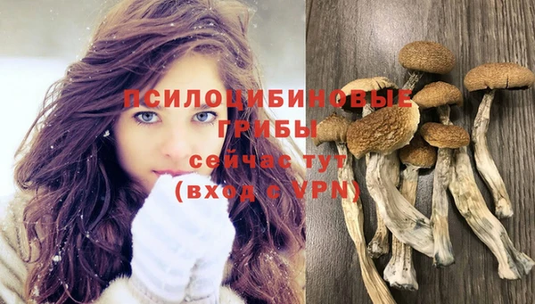 jwh Алзамай