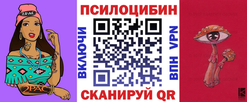 Псилоцибиновые грибы Psilocybe  Тихвин 